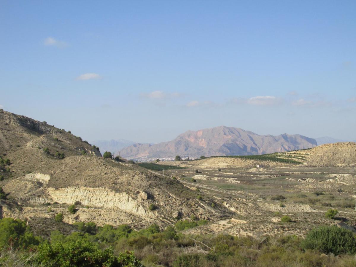 Casa Los Cerezos فيلا مارتن المظهر الخارجي الصورة